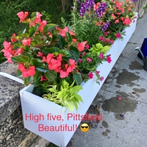 Pittsfield Beautification Berkshire County, Pittsfield Flowers, Pittsfield Beautiful In The Berkshires